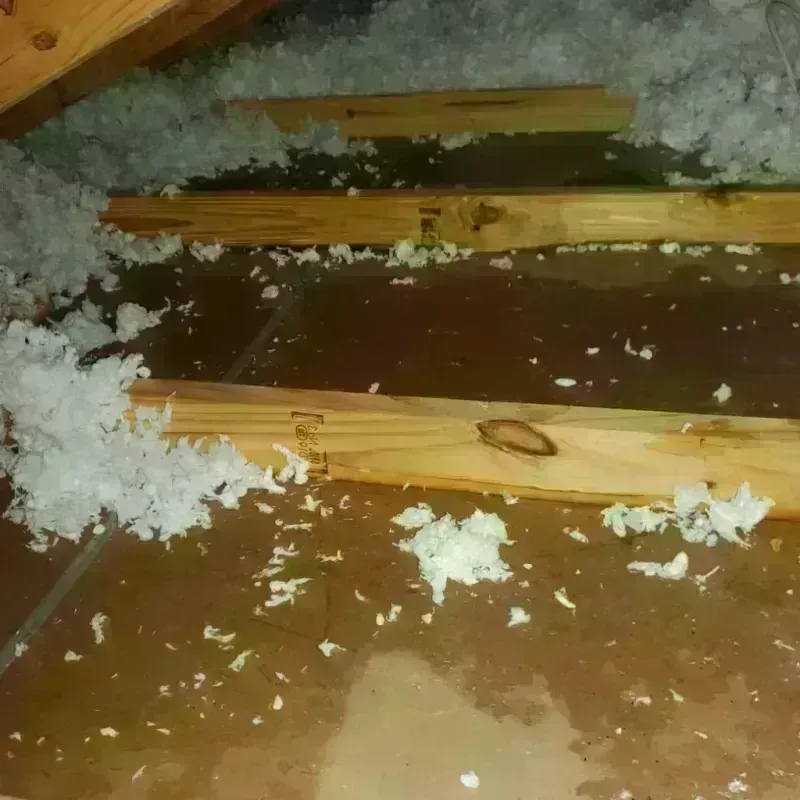 Attic Water Damage in Plumsteadville, PA